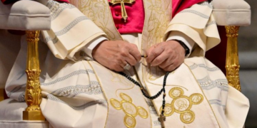 Pope Leo’s over 400 appeals for peace during first year of pontificate