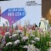 Pope in Madrid: Weaving networks to safeguard the soul of society