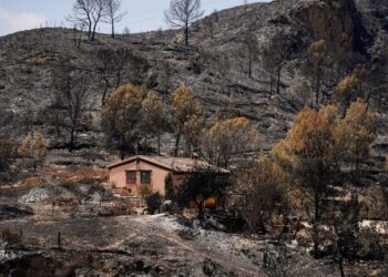 Bishop of Almería: Let us be God’s hands for those who suffer