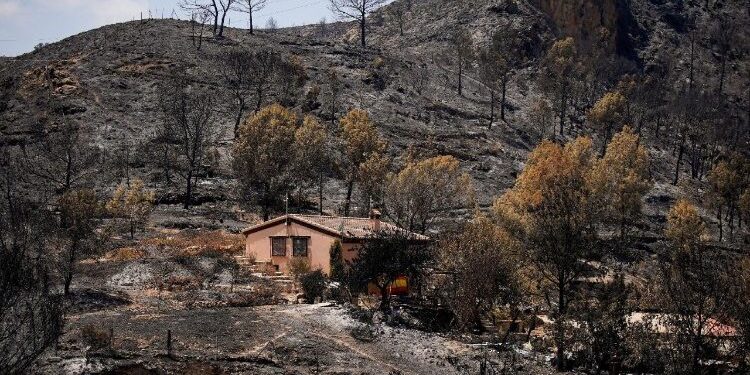Bishop of Almería: Let us be God’s hands for those who suffer