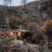 Bishop of Almería: Let us be God’s hands for those who suffer