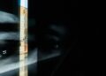 Pan Daijing’s Conciliazione 5 Installation invites visitors to read beyond darkness