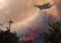Pope Leo XIV prays for victims of wildfires in Europe