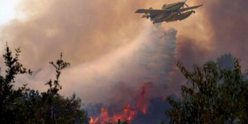 Pope Leo XIV prays for victims of wildfires in Europe