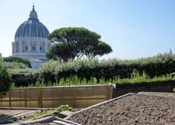 The Pope’s garden in the Vatican Gardens becomes 100 percent organic