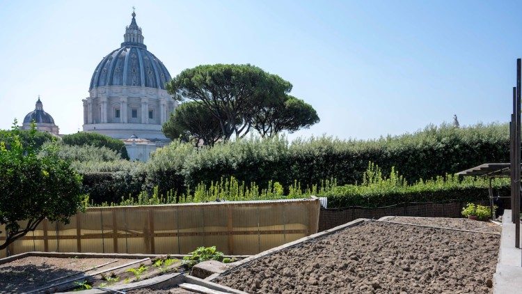 The Pope’s garden in the Vatican Gardens becomes 100 percent organic