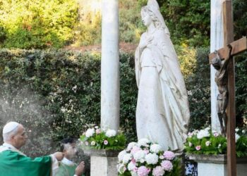 Pope Leo: ‘It is not yet too late’ to turn destruction into life