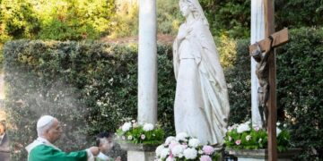 Pope Leo: ‘It is not yet too late’ to turn destruction into life