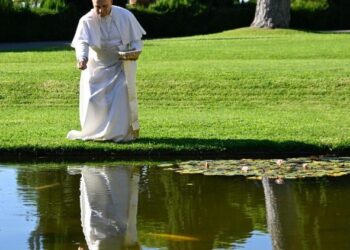 Season of Creation begins with worldwide prayer for our common home