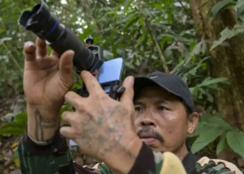 Indonesia cash-for-photos scheme turns animal hunters into protectors