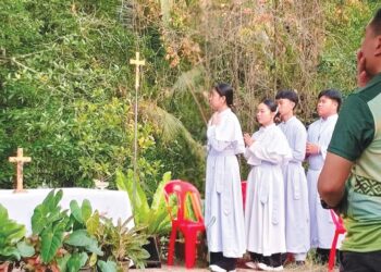Misa Senja di hutan bakau seru pemulihan ekosistem