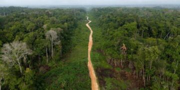 Holy See: Sustainable development must address all dimensions